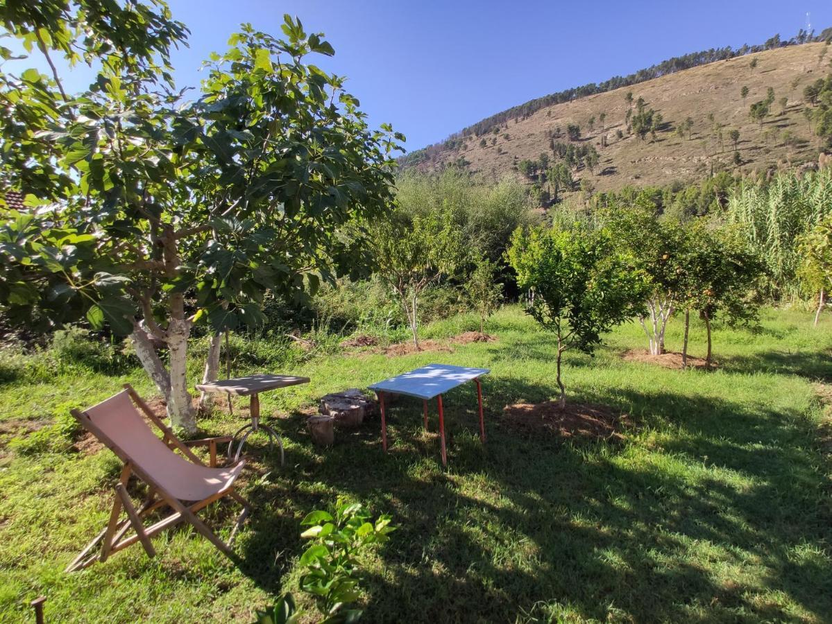 بيرات Olive B&B المظهر الخارجي الصورة